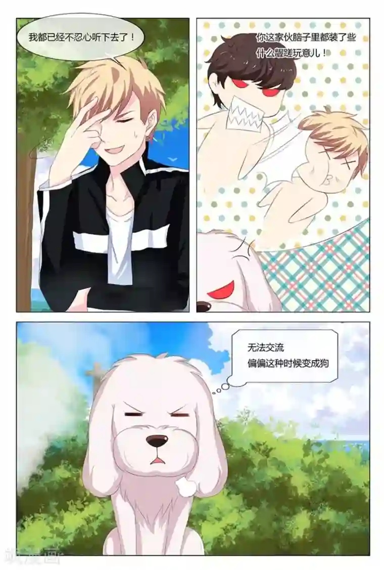 我的房东是泰迪第16话