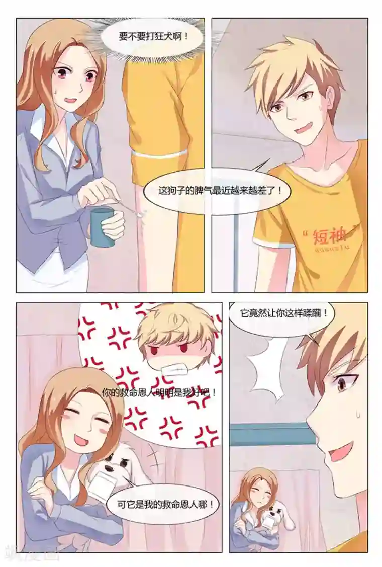 我的房东是泰迪第16话