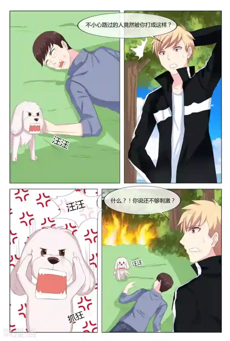 我的房东是泰迪第16话