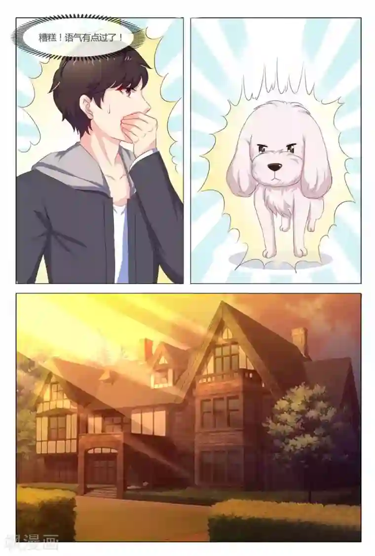 我的房东是泰迪第17话