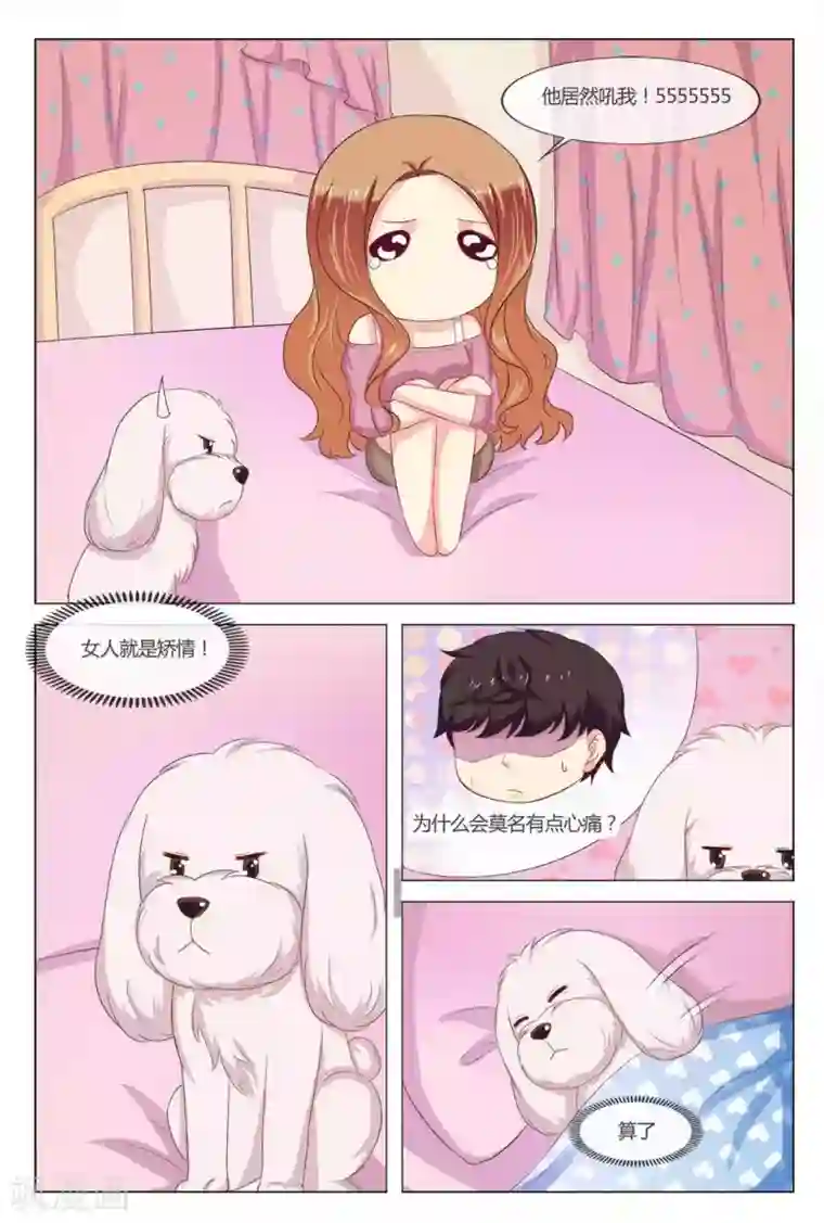 我的房东是泰迪第17话