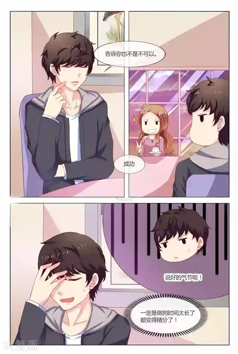 我的房东是泰迪第17话