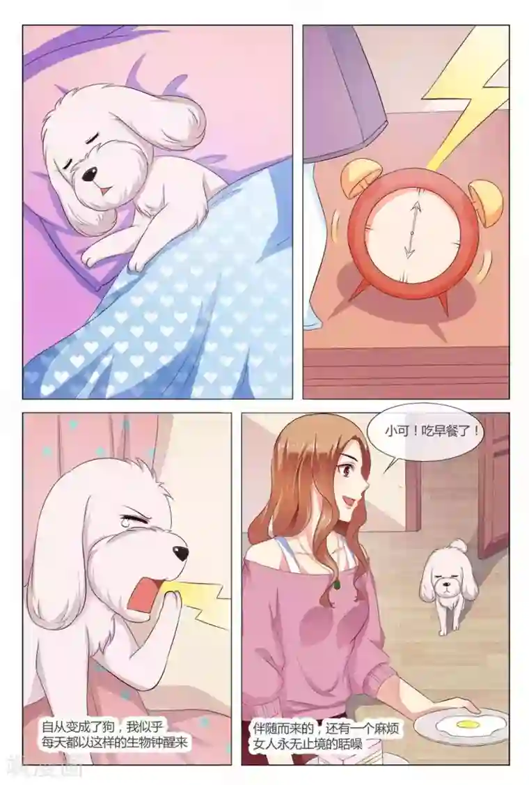 我的房东是泰迪第18话