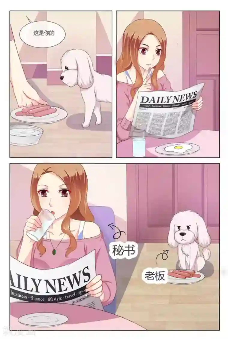 我的房东是泰迪第18话