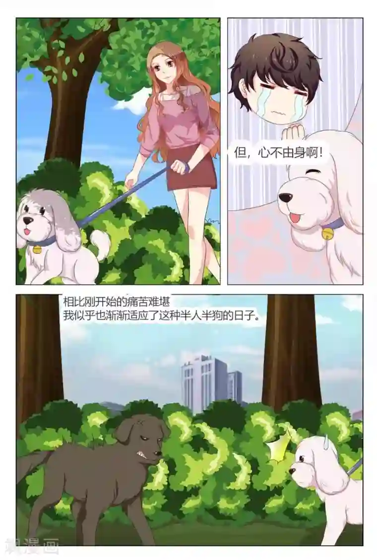 我的房东是泰迪第18话