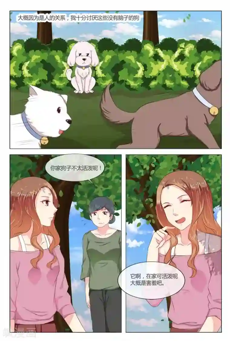 我的房东是泰迪第18话