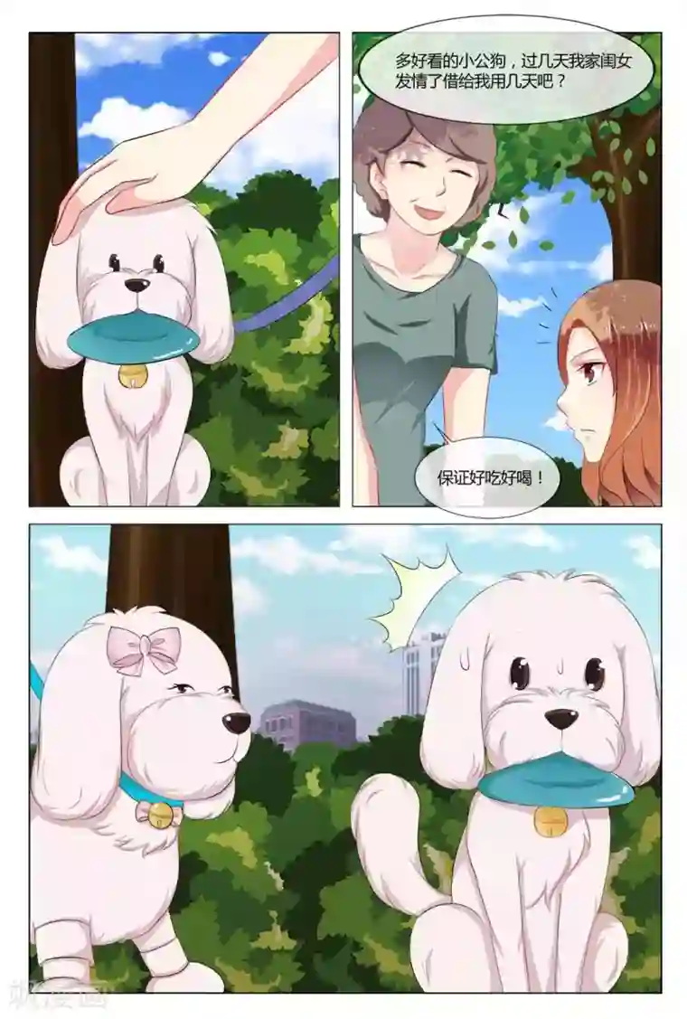 我的房东是泰迪第18话