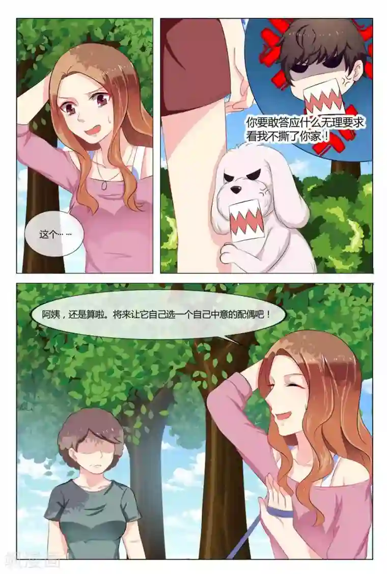 我的房东是泰迪第18话