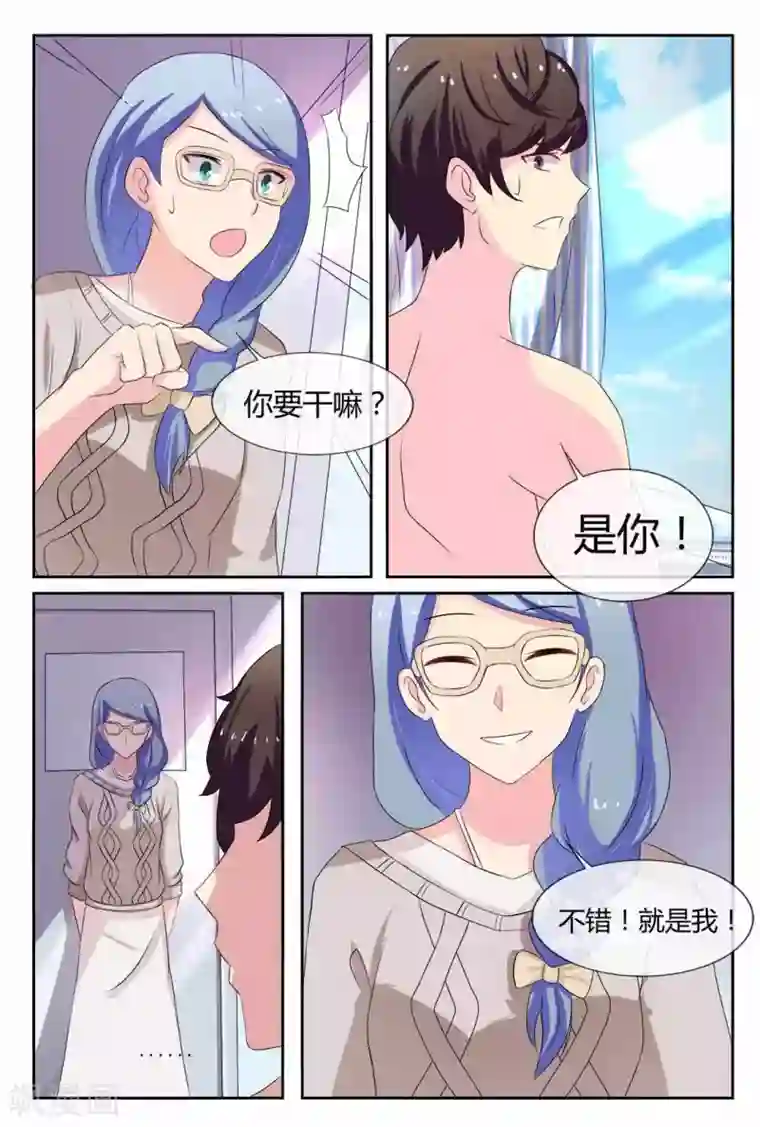 我的房东是泰迪第19话