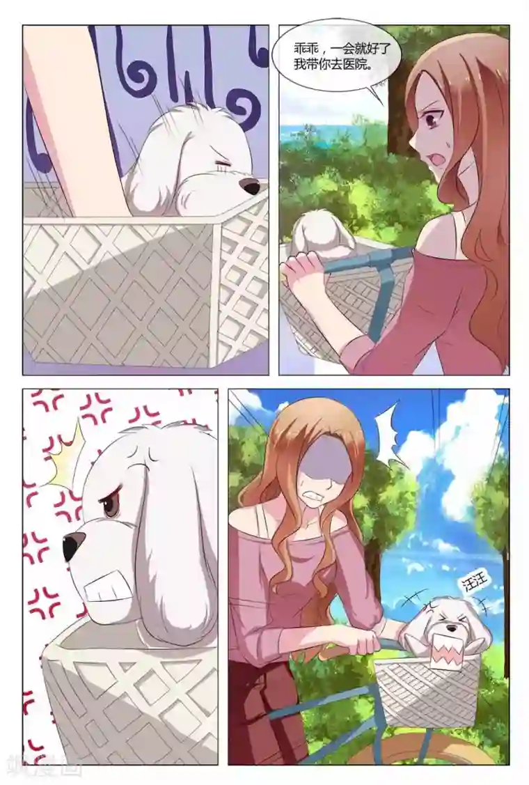 我的房东是泰迪第19话