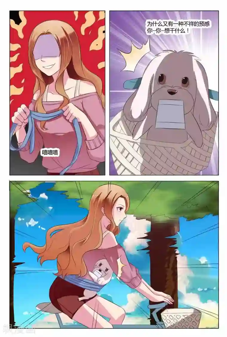 我的房东是泰迪第19话