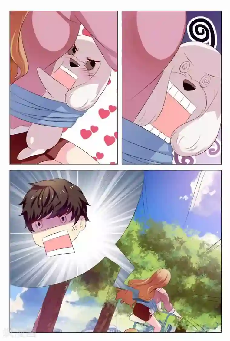 我的房东是泰迪第19话