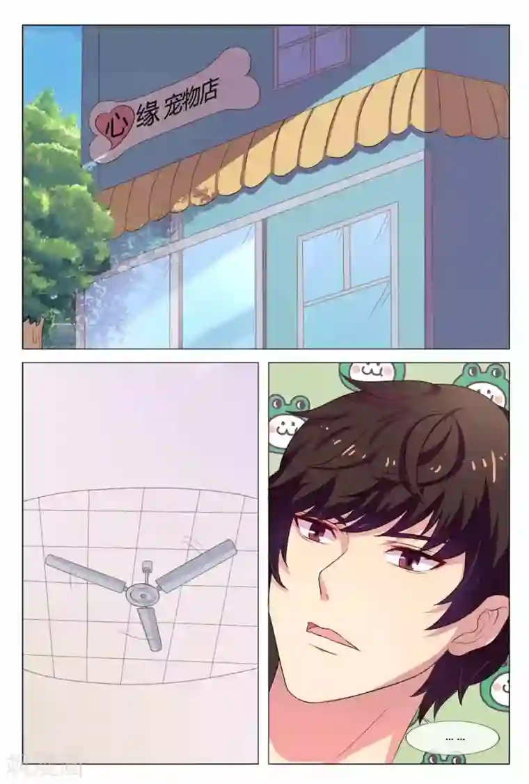 我的房东是泰迪第19话