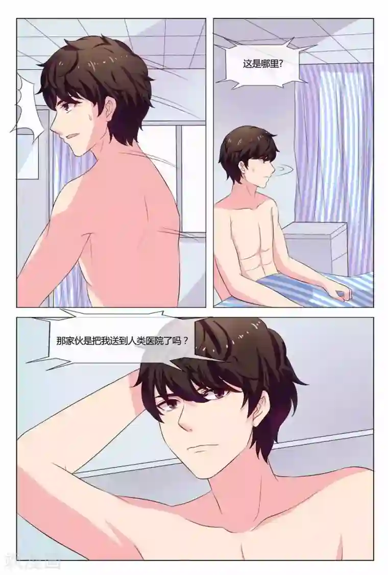 我的房东是泰迪第19话