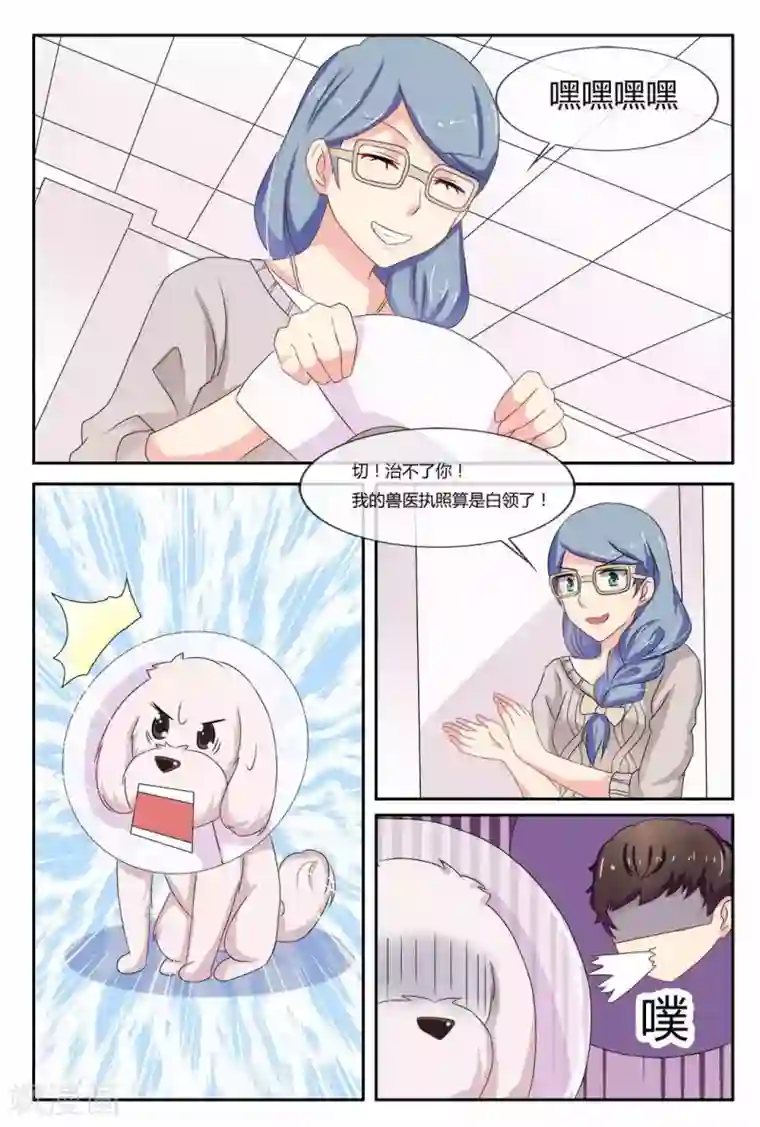 我的房东是泰迪第20话