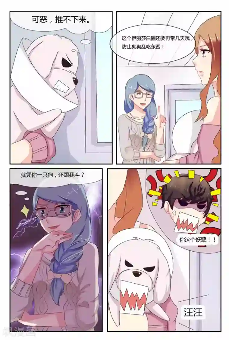 我的房东是泰迪第20话