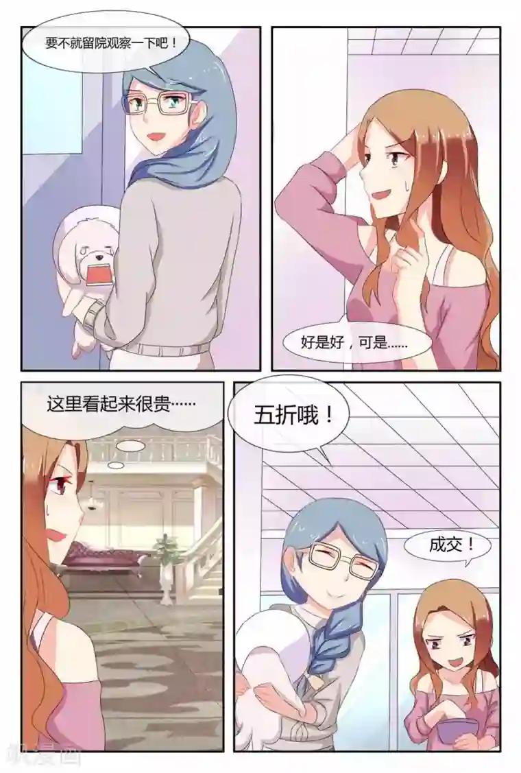 我的房东是泰迪第20话