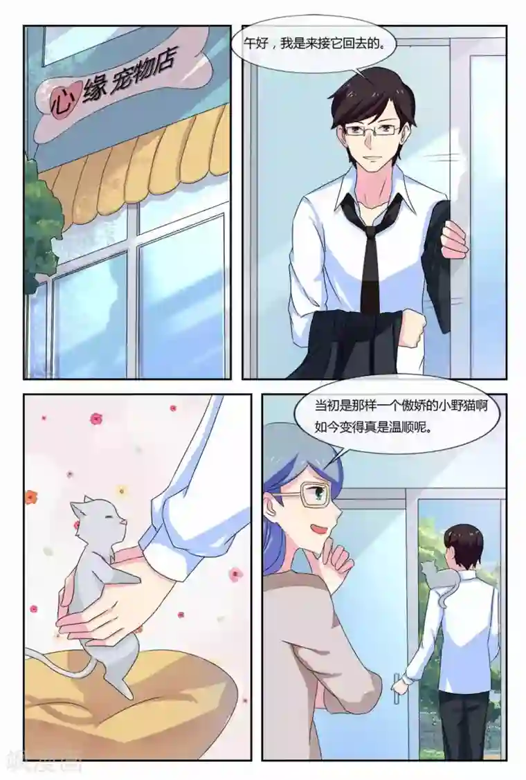 我的房东是泰迪第21话