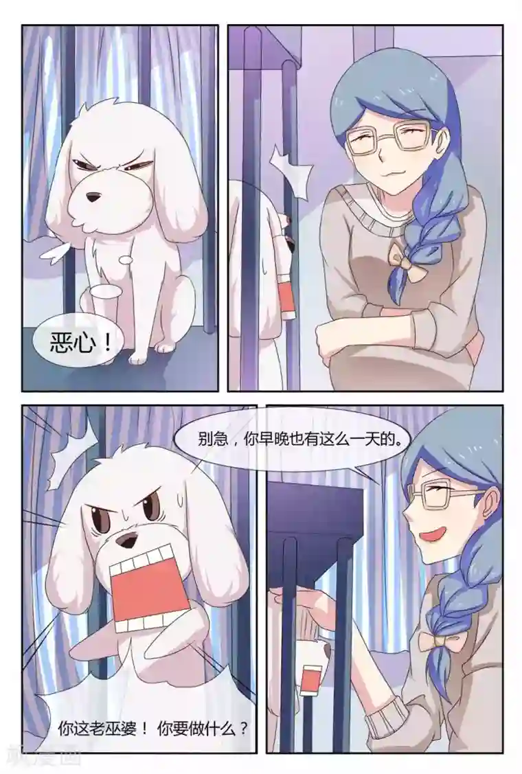 我的房东是泰迪第21话