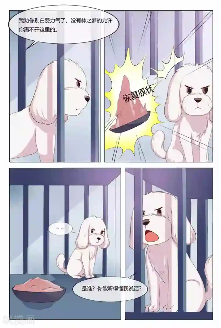 我的房东是泰迪第21话