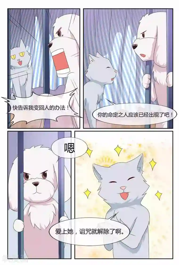 我的房东是泰迪第21话