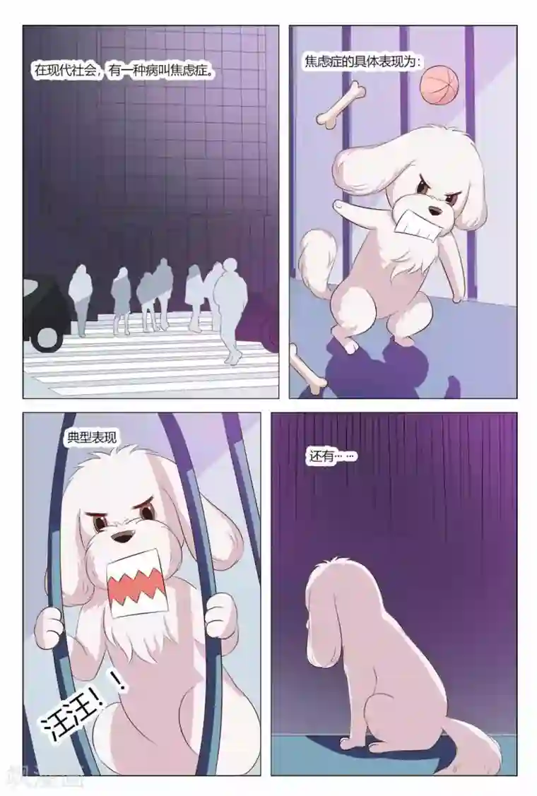 我的房东是泰迪第22话