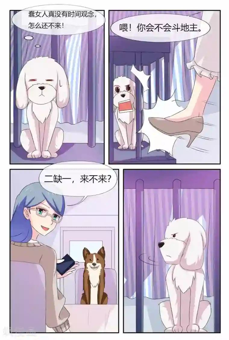 我的房东是泰迪第22话