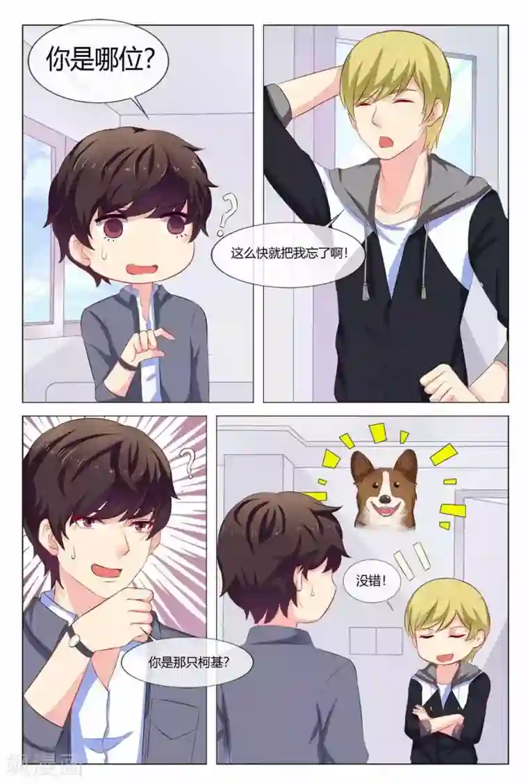 我的房东是泰迪第23话