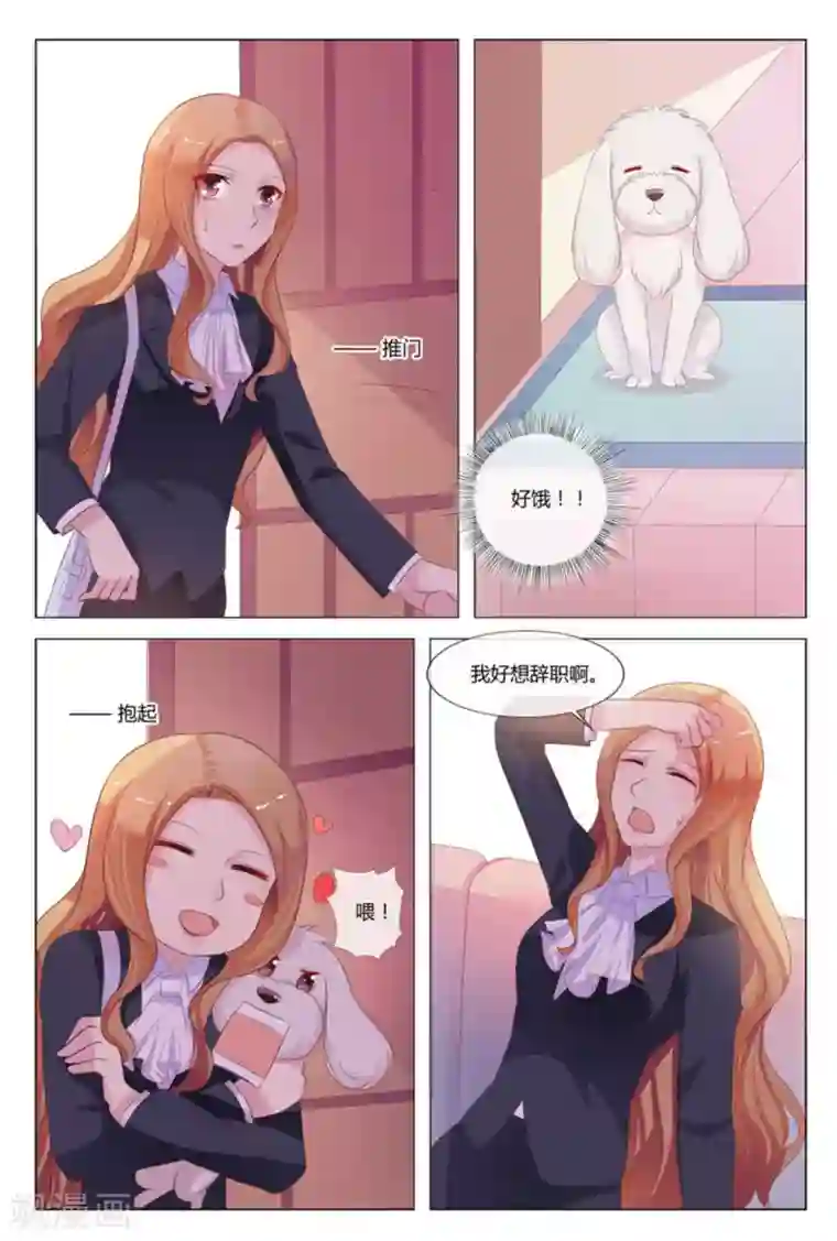 我的房东是泰迪第32话