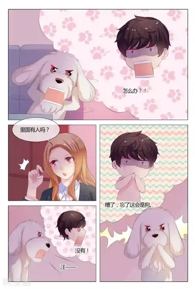 我的房东是泰迪第33话