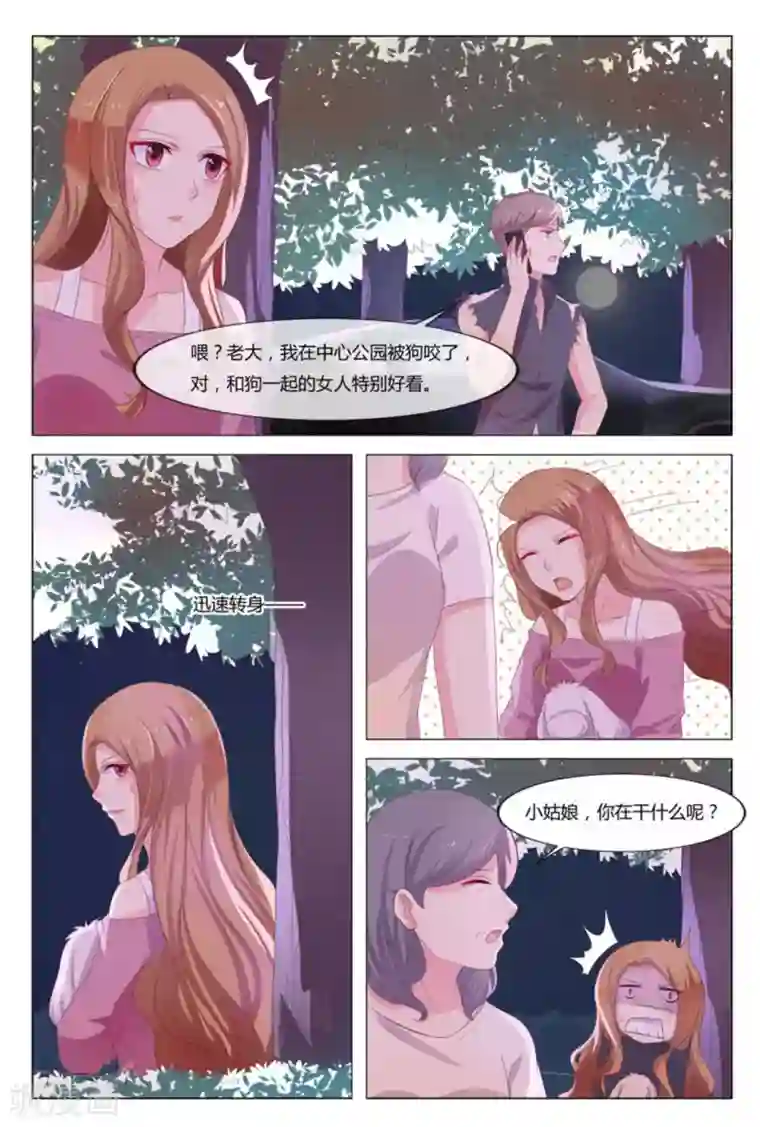 我的房东是泰迪第33话