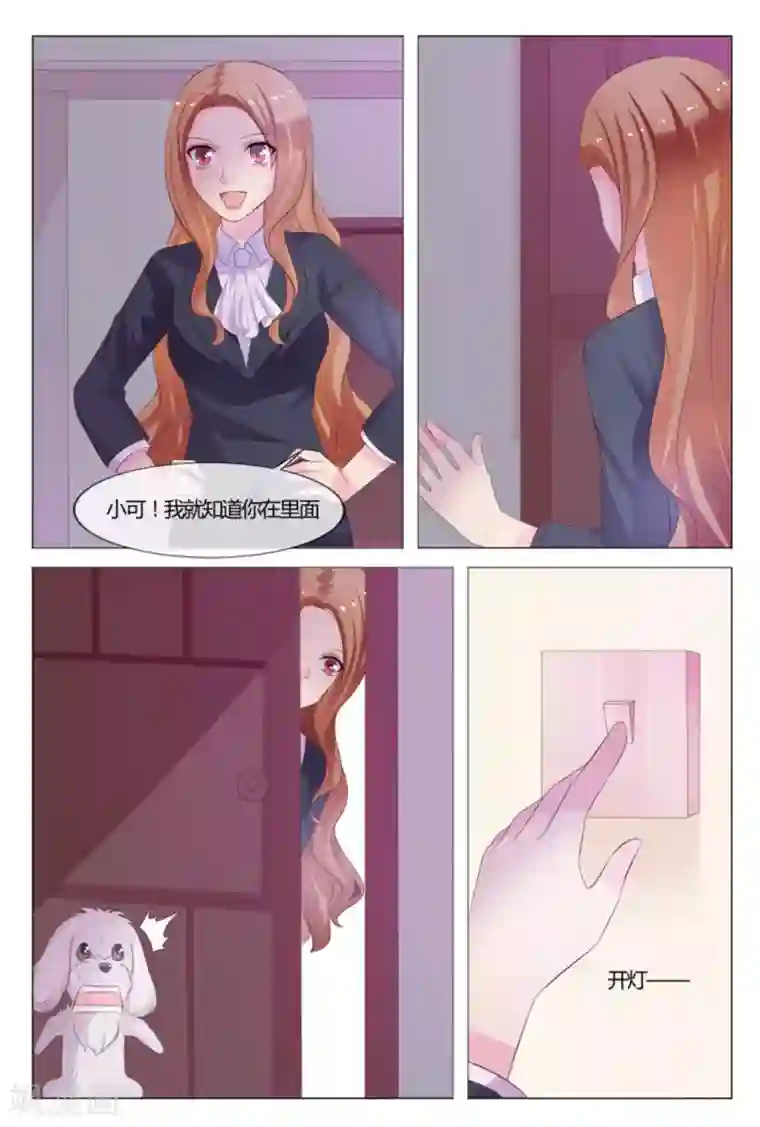 我的房东是泰迪第33话