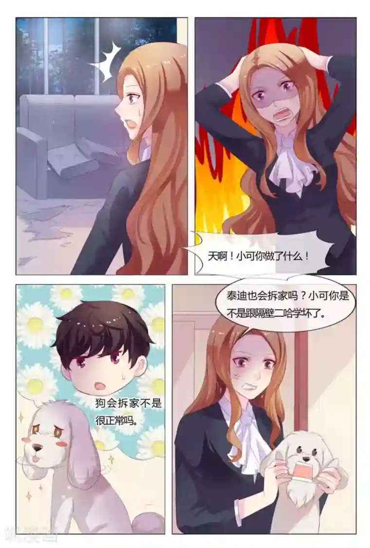 我的房东是泰迪第33话