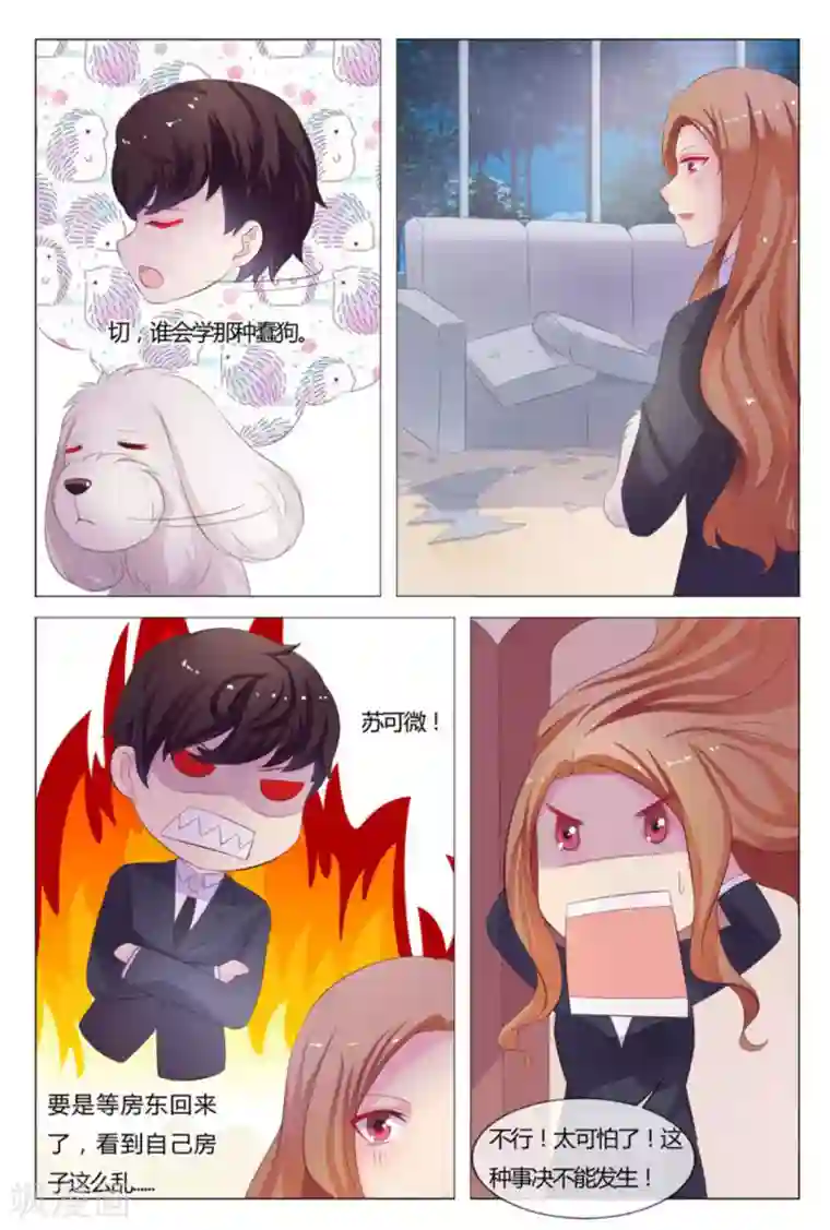 我的房东是泰迪第33话