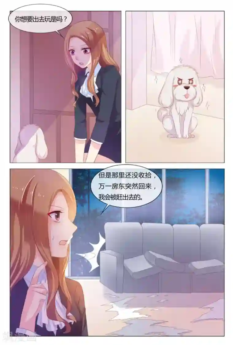 我的房东是泰迪第33话