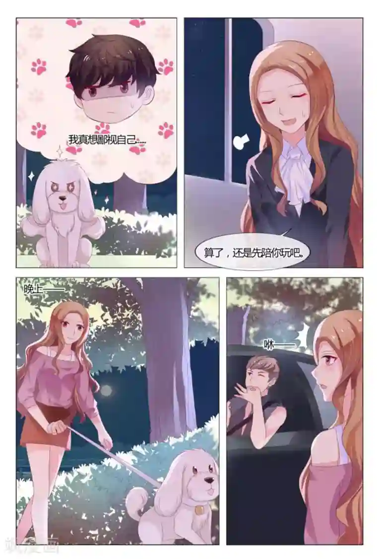 我的房东是泰迪第33话