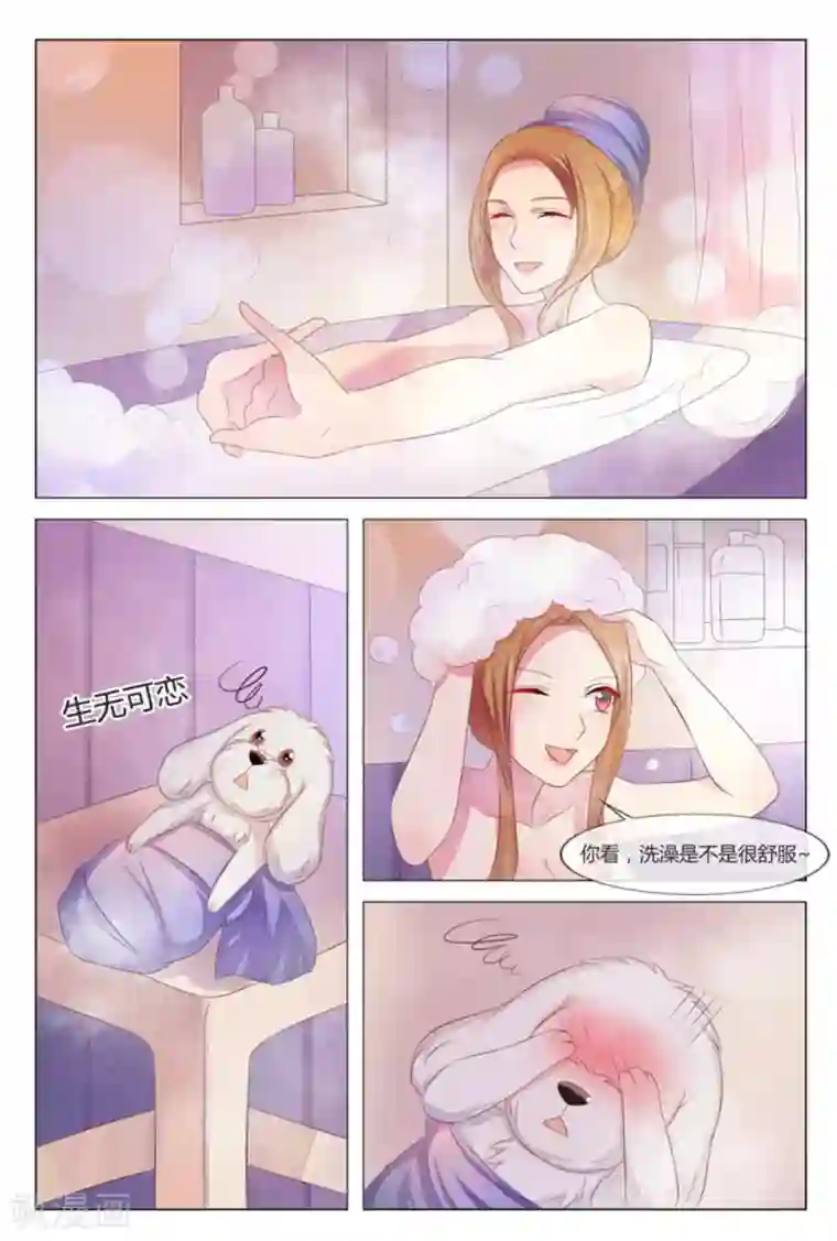 我的房东是泰迪第35话