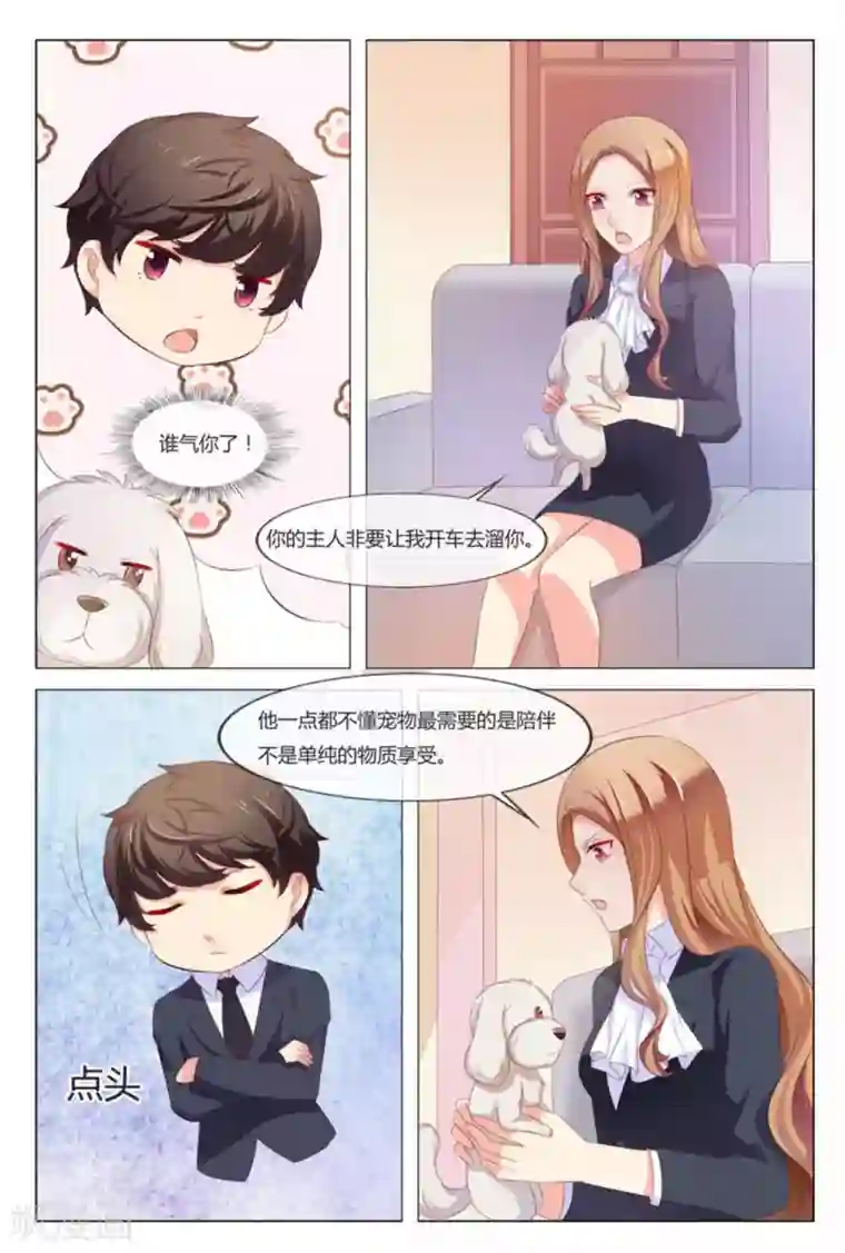 我的房东是泰迪第35话