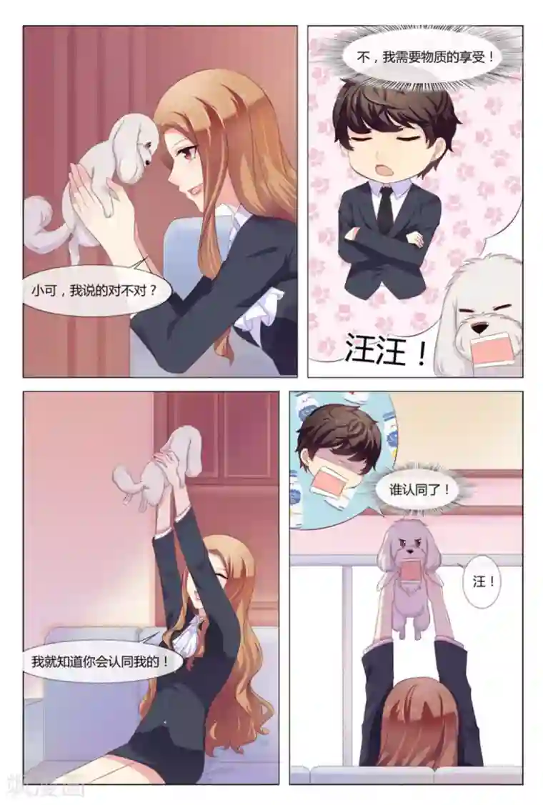 我的房东是泰迪第35话