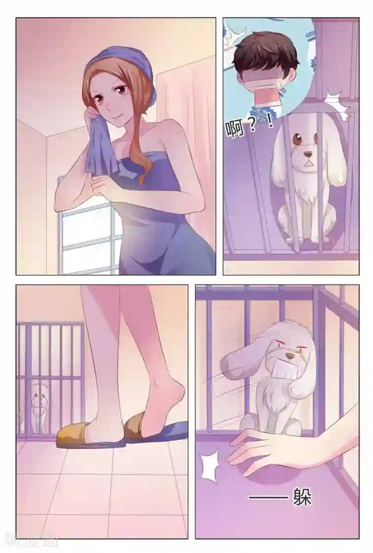 我的房东是泰迪第35话