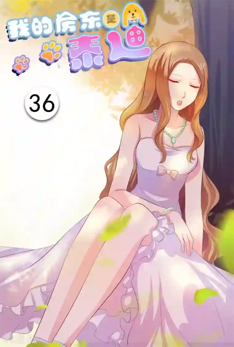 我的房东是泰迪第36话