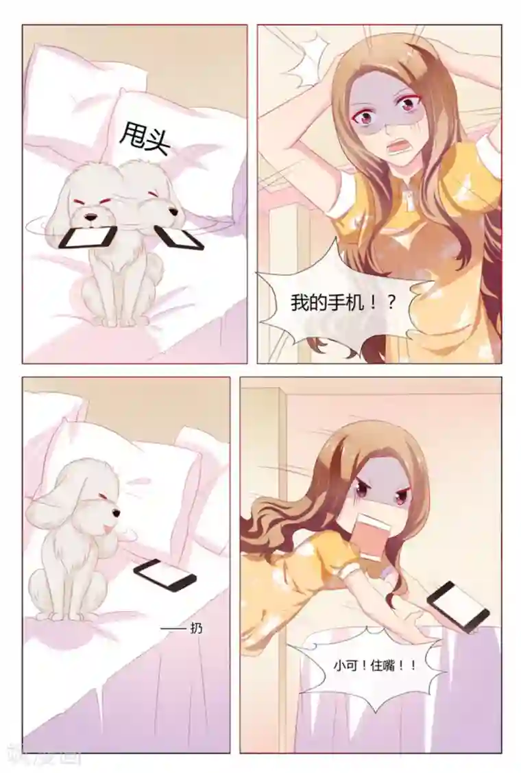 我的房东是泰迪第41话