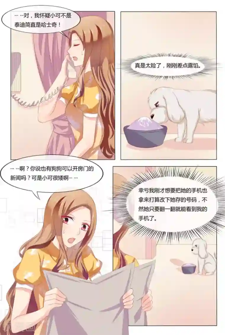 我的房东是泰迪第41话