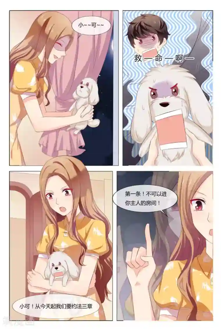 我的房东是泰迪第41话