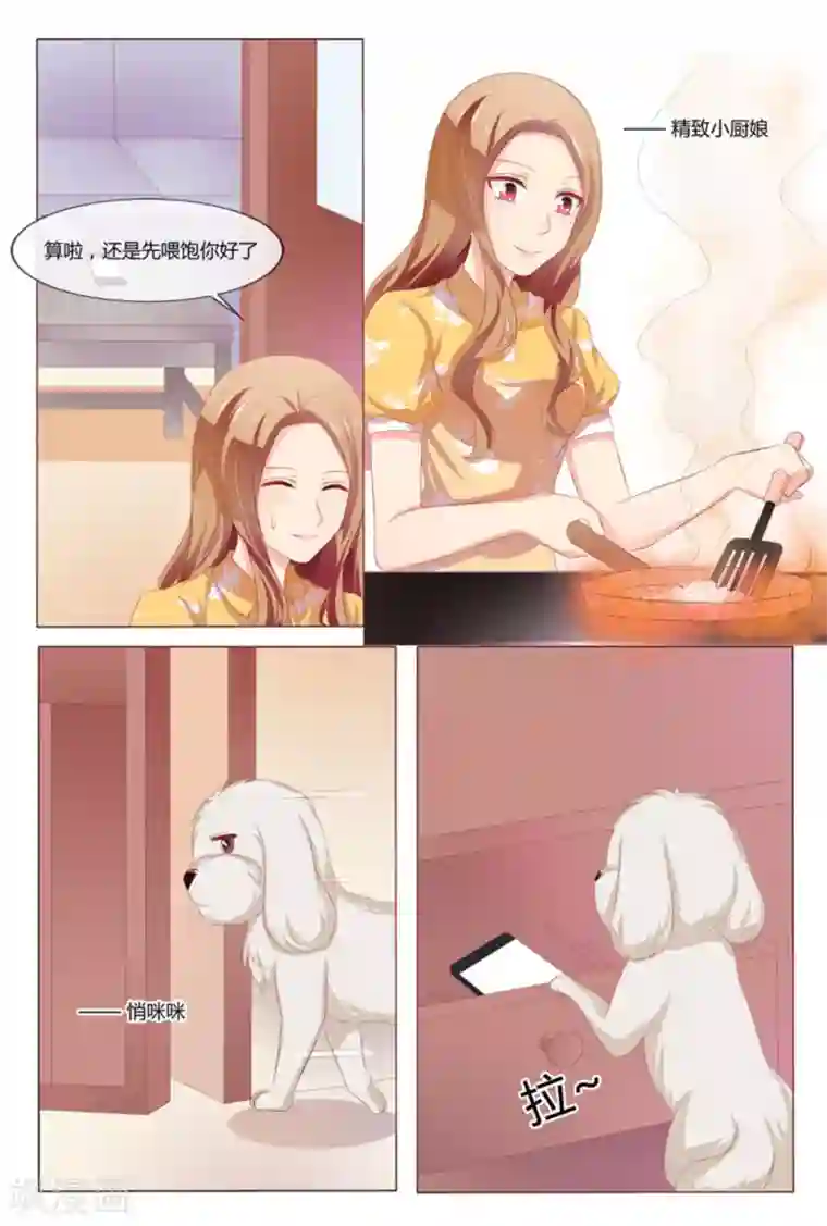 我的房东是泰迪第41话