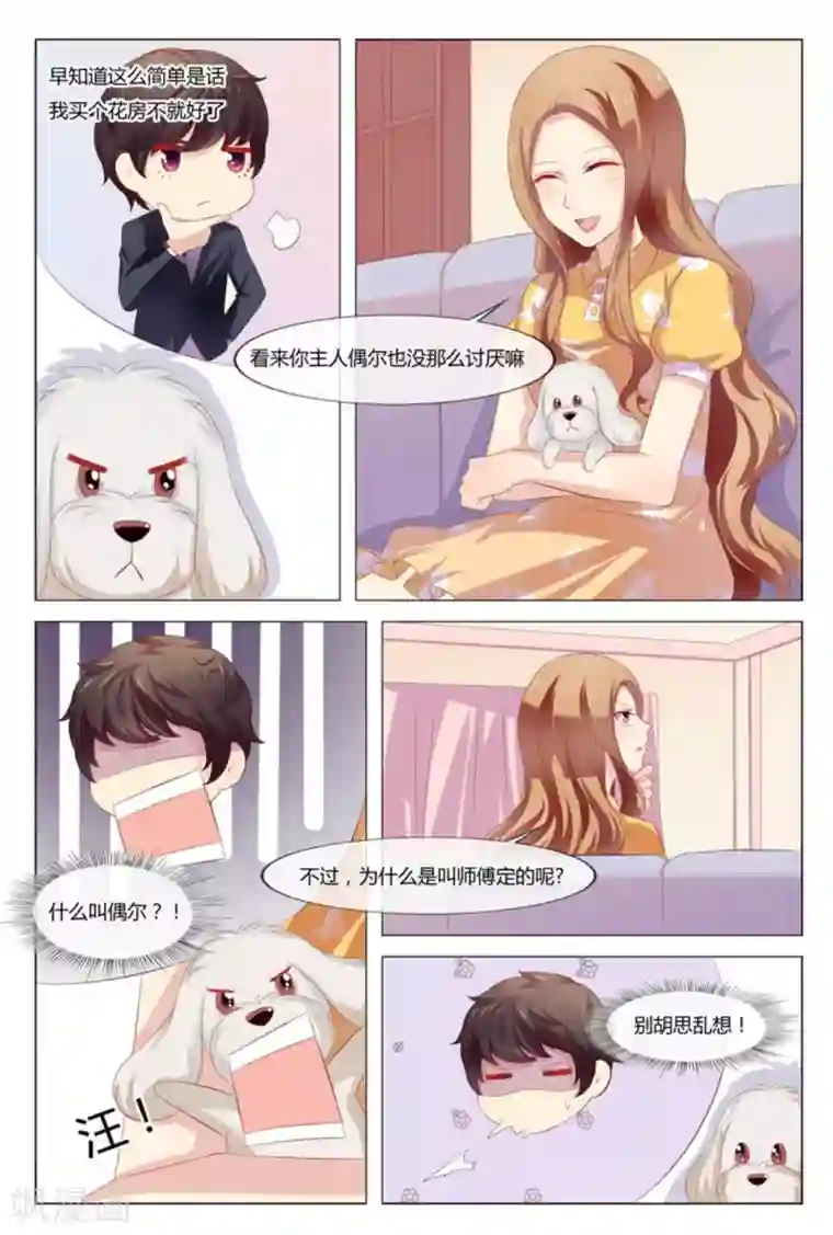 我的房东是泰迪第42话