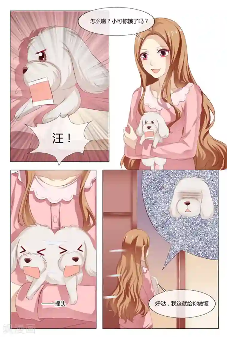 我的房东是泰迪第48话