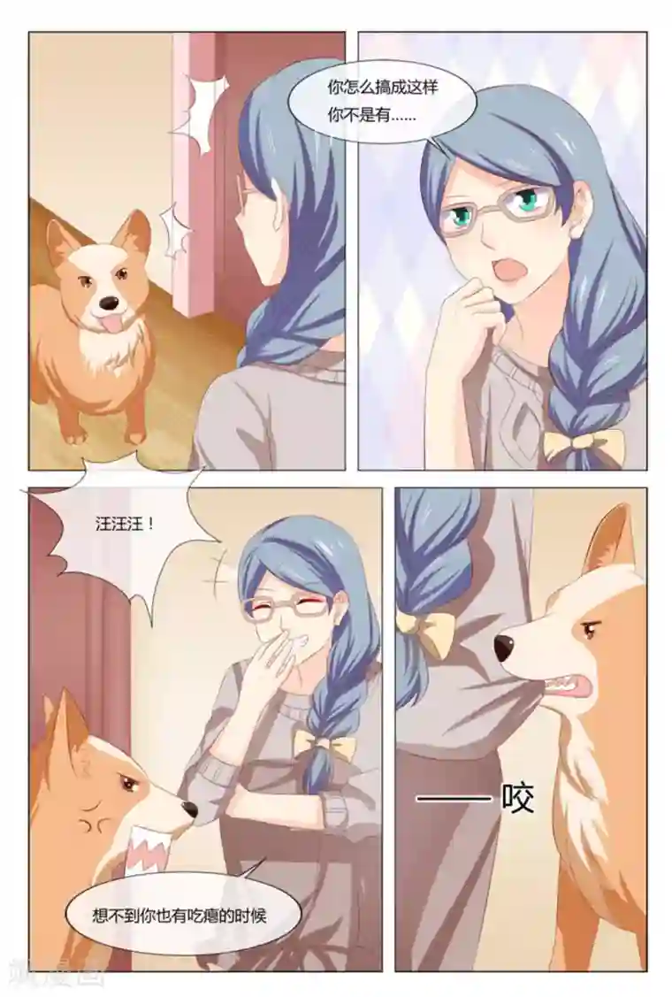 我的房东是泰迪第48话