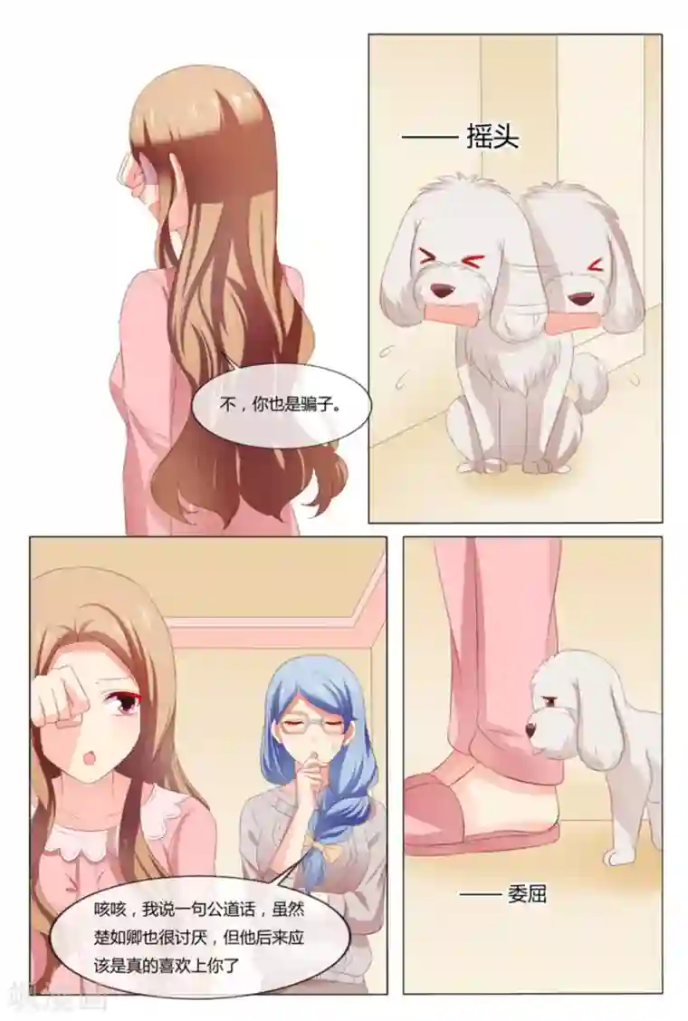 我的房东是泰迪第50话