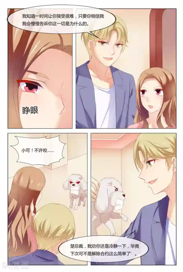 我的房东是泰迪第50话